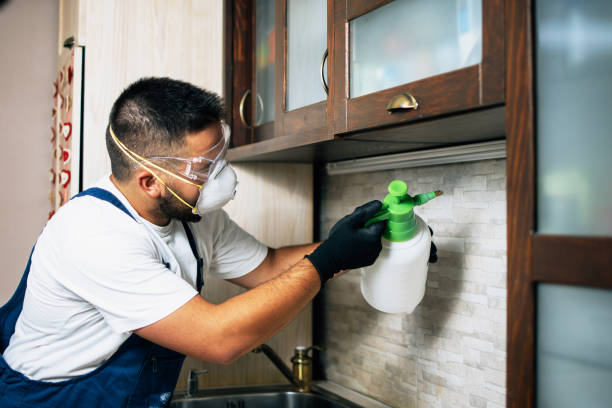 Pest Control Cost in Ashville, AL