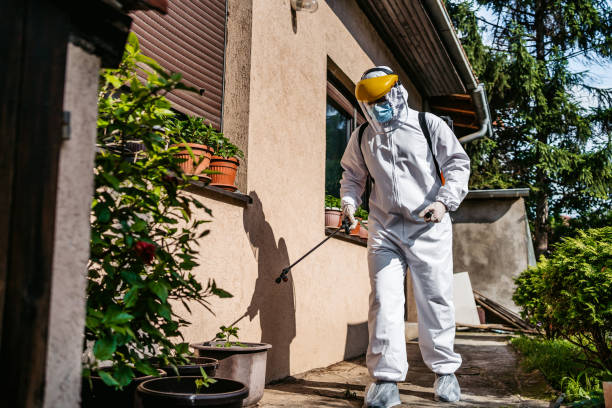 Best Pest Prevention Services  in Ashville, AL