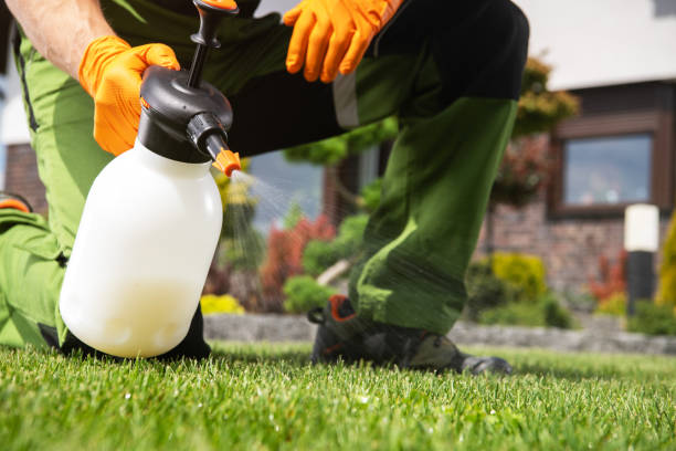 Best Residential Pest Control  in Ashville, AL