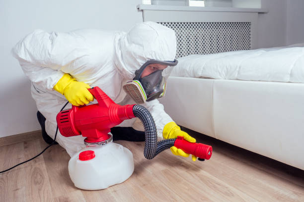 Best Local Pest Control Services  in Ashville, AL