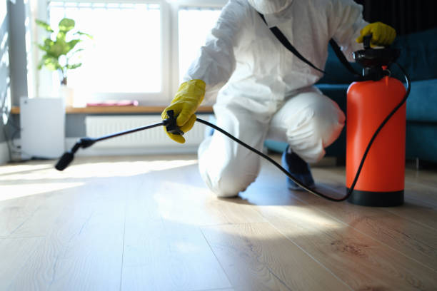 Flea Control Services in Ashville, AL