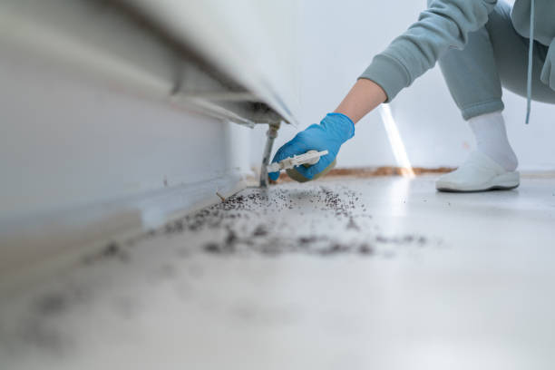 Best Best Pest Control Companies  in Ashville, AL