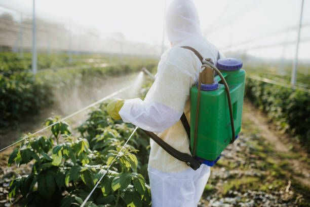 Best Pest Control Treatment  in Ashville, AL
